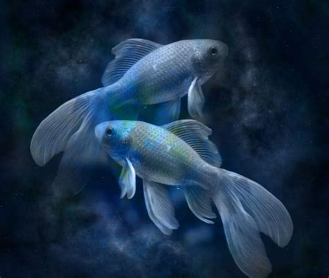 peza pisces login